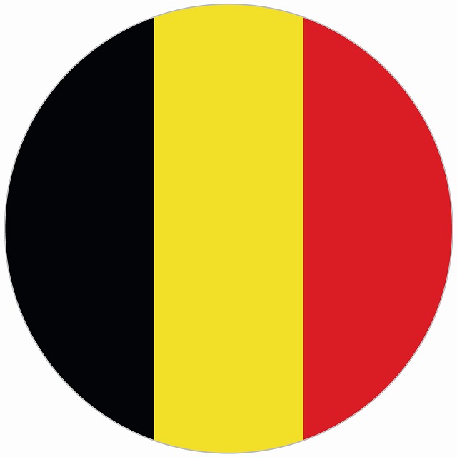 Rakuten - ベルギー 国旗 ステッカー シール National Flag 丸型 直径13 給油口 カーステッカーround type 屋外 屋内 防水 かわいい おしゃれ