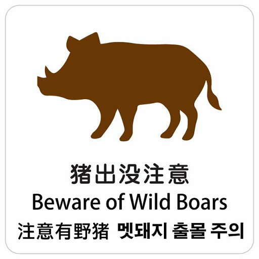 猪出没注意 インバウンド 多言語 英語 中国語 韓国語 対応 サインステッカー シール ピクトサイン 正方形 商業施設 飲食店 旅館 ホテル レンタル イベント 表示 場所 掲示 案内板 注意喚起 防水 屋内 屋外 猪出没注意 インバウンド 多言語 英語 中国語 韓国語 対応 サインステッカー シール ピクトサイン 正方形 商業施設 飲食店 旅館 ホテル レンタル イベント 表示 場所 掲示 案内板 注意喚起 防水 屋内 屋外