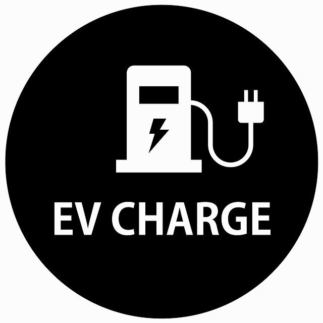 EV Charge [dXe[V fUC ^Cv ubNzCg dC [d `[W [d|[g [dXe[V XebJ[ a13cm J[XebJ[ PHEV O  h 킢 