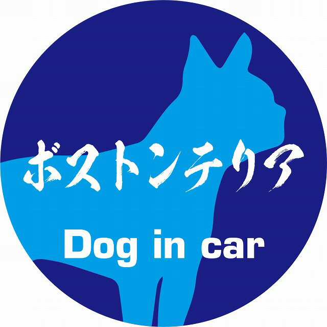 Dog in car ドッグインカー ステッカー カーステッカー ボストンテリア 毛筆書体 ブルー カッティングシート シール 煽り運転対策