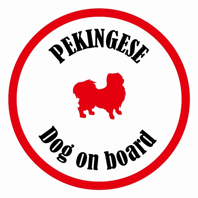 եƥ ƥå ե Dog on board ݷ ڥˡ ۥ磻ȡå ľ13cm 걿ž к ...