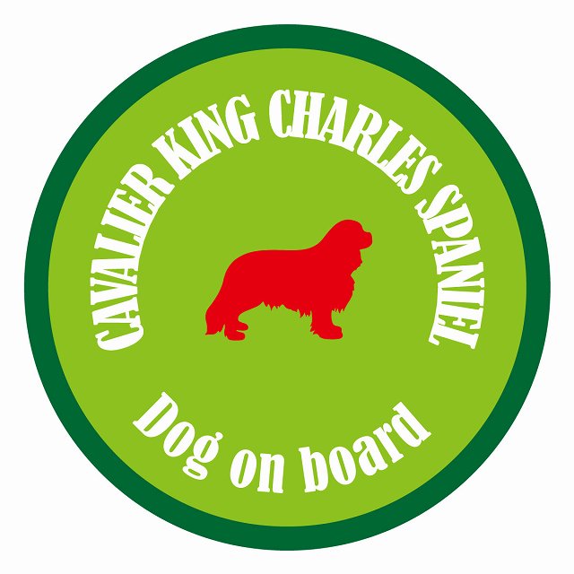 եƥ ƥå ե Dog on board ݷ Хꥢ󥰥㡼륺ѥ˥ 饤ȥ꡼꡼ ľ...
