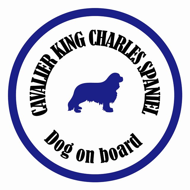եƥ ƥå ե Dog on board ݷ Хꥢ󥰥㡼륺ѥ˥ ۥ磻ȡͥӡ ľ13c...