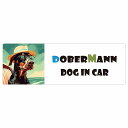 Dobermann ドーベルマン 犬 カーステッカー DOG IN CAR 海 麦わら帽子 サングラス 夏 20x6.7cm 長方形 防水 屋外 屋内 車ステッカー ステッカー 車 かっこいい おしゃれ かわいい バイク サインステッカー