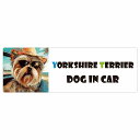 Yorkshire Terrier ヨークシャテリア 犬 カーステッカー DOG IN CAR 海 麦わら帽子 サングラス 夏 20x6.7cm 長方形 防水 屋外 屋内 車ステッカー ステッカー 車 かっこいい おしゃれ かわいい バイク サインステッカー