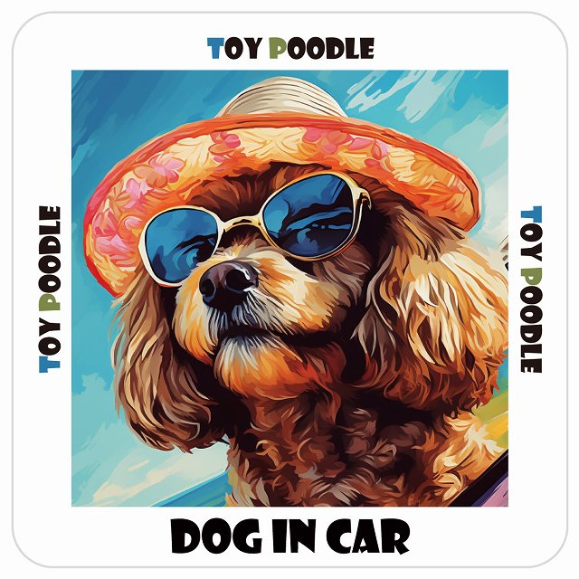 Toy Poodle トイプードル 犬 カーステッカー シール DOG IN CAR 海 麦わら帽子 サングラス 夏 13x13cm ..