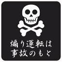 煽り運転は事故のもと ドクロ 車 ステッカー シール 正方形 13x13cm サインステッカー カーステッカー 安全対策 注意喚起 警告 煽り運転対策 防水 屋内 屋外 ピクトサイン 表示 案内 REC 録画 カメラ カーサイン