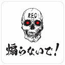 煽らないで! ドクロ 車 ステッカー シール 正方形 13x13cm サインステッカー カーステッカー 安全対策 注意喚起 警告 煽り運転対策 防水 屋内 屋外 ピクトサイン 表示 案内 REC 録画 カメラ カーサイン