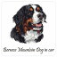 ドッグ カーステッカー 犬 イラスト付 Dog in Car バーニーズ・マウンテン・ドッグ B タイプ セーフティサイン 犬種別 正方形 13x13cm シール リア あおり運転対策 Dog Sticker 屋外 屋内 防水 かわいい おしゃれ 安全対策 カーサイン 690円