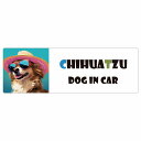 Chihuatzu チワズー 犬 カーステッカー DOG IN CAR 海 麦わら帽子 サングラス 夏 20x6.7cm 長方形 防水 屋外 屋内 車ステッカー ステッカー 車 かっこいい おしゃれ かわいい バイク サインステッカー カーサイン