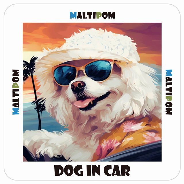 ポメマル Maltipom 犬 カーステッカー シール DOG IN CAR 海 麦わら帽子 サングラス 夏 13x13cm 正方形..
