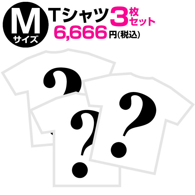 【 猫の日 限定 8/25マデ 】Mサイズ Tシャツ 限定 福袋 (3枚セット)