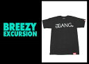 50@BREEZY EXCURSION u[W[GNXJ[W GOLD GANG TEE  TVc