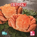 北海道産　浜茹　毛蟹　2ハイ（約880g）上級堅蟹（カタガニ）のみをクール便で送付！！