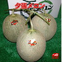 【予約販売中】北海道名産 共撰 夕張メロン 良品 3玉(約4.8kg)JA夕張市が誇る北海道の夏を代表する特産品【送料無料】【お中元ギフトNO1】