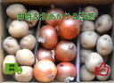 【予約販売】ニセコ産男爵+北あかり(LM各2kg)+玉葱L3kg 秋の味覚NO1【送料無料】