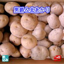 【予約販売】ニセコ産男爵LM4kg+北あかりLM4kg 北海道産じゃがいものブランド! 秋の味覚NO1【送料無料】
