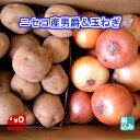 【予約販売】ニセコ産男爵L4kg+北見産 玉葱L大4kg エコファーマー認定栽培 秋の味覚NO1【送料無料】