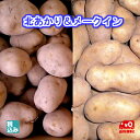 【予約販売】ニセコ産北あかりLM4kg+ 十勝産メークインLM4kg 北海道産じゃがいものブランド! 秋の味覚NO1【送料無料】