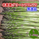 特選アスパラガス　北海道　名寄産　グリーンアスパラ（露地アスパラ）　L　1．5kg（500gx3）