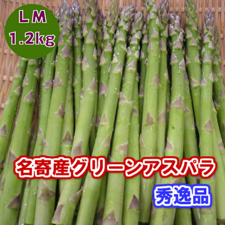 特選アスパラガス　北海道　名寄産　グリーンアスパラ（露地アスパラ）　LM　1．2kg（400gx3）【送料無料】【二重選別の秀逸品】【5月下旬発送開始】