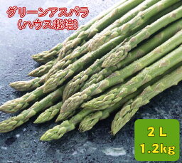 アスパラガス 北海道産　グリーンアスパラ（ハウス栽培）　秀品　2L　1．2kg(400gx3)【送料無料】