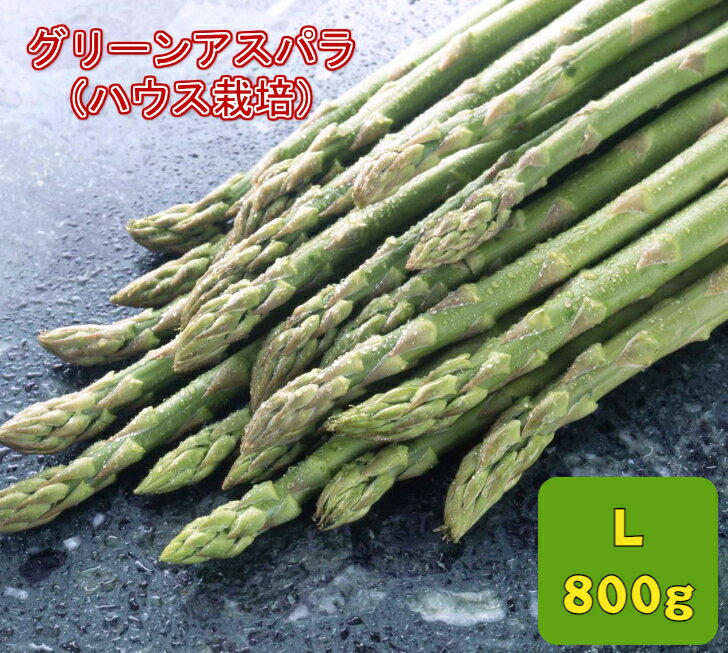 【特選アスパラガス】北海道産 グリーンアスパラ(ハウス栽培) 秀品 L 800g(400gx2)