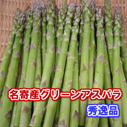 アスパラガス　北海道　名寄産　グリーンアスパラ　M　800g（400gx2）【送料無料】期日指定不可！！【5月下旬発送開始】