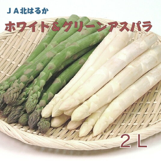 JA北はるか　ホワイト＆グリーンアスパラ　2L　800g　【送料無料】【5月下旬発送開始】