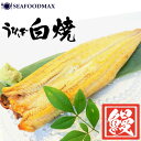 うなぎ 白焼 うなぎ白焼き 1尾 約200g 長焼き 鰻の白焼き 【鰻 丑の日 ウナギ 土用 白焼き】・うなぎ白焼き・