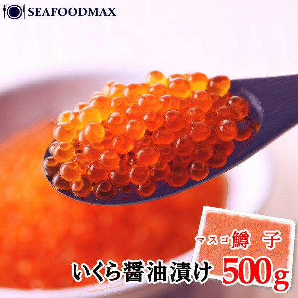  500g ۥޥڤ   Ҥ ̣դ  ϡۡڥեȡۡ500gڥޥۡ