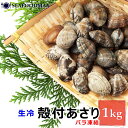 あさり 冷凍 殻付きあさり 1kg (約100-120粒) IQF アサリ 殻アサリ 浅利 殻付き バラ凍結・殻付あさりM1kg・