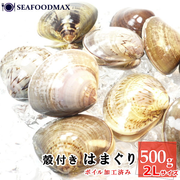 ボイル 殻付はまぐり 2Lサイズ 約8-10個入 500g 【蛤 ...