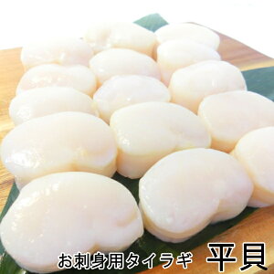 お刺身用 平貝 21/30 500g 【貝 たいらぎ タイラギ貝】【冷凍】・平貝21/30【500g】・