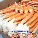 〈ボイル済〉本ずわい蟹 Lサイズ 大容量5kg 【ロシア産】 【かに 蟹 カニ ずわい ズワイ 本ズ ...