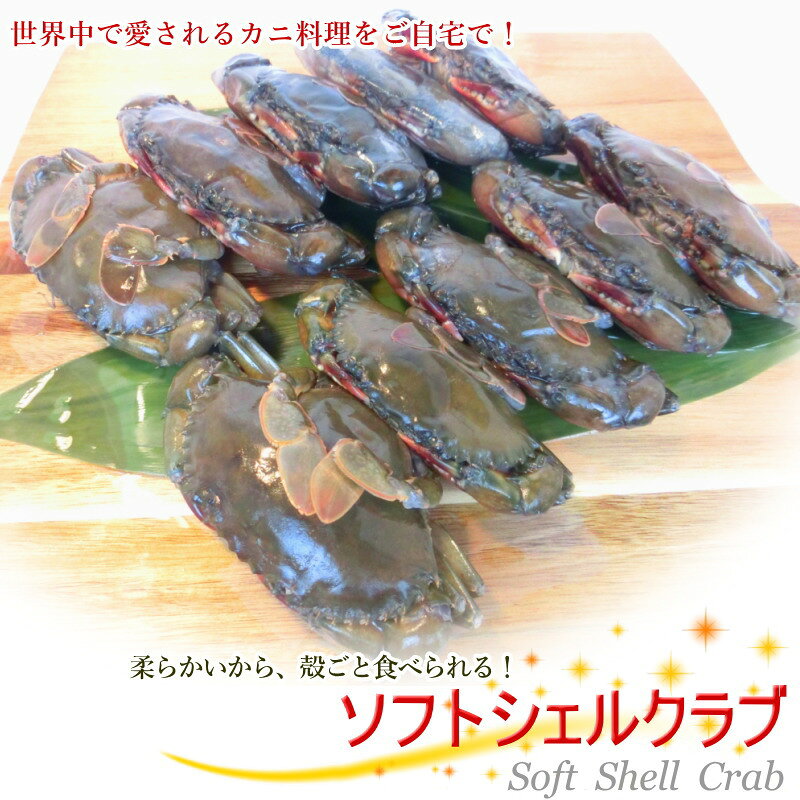 ソフトシェルクラブ 約10～14尾 まるごと食べれる ソフト シェル クラブ【 蟹 カニ...