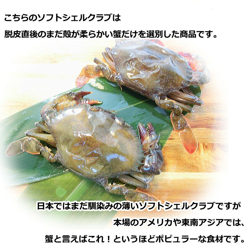 ソフトシェルクラブ 約10～14尾 まるごと食べれる ソフト シェル クラブ【 蟹 カニ...