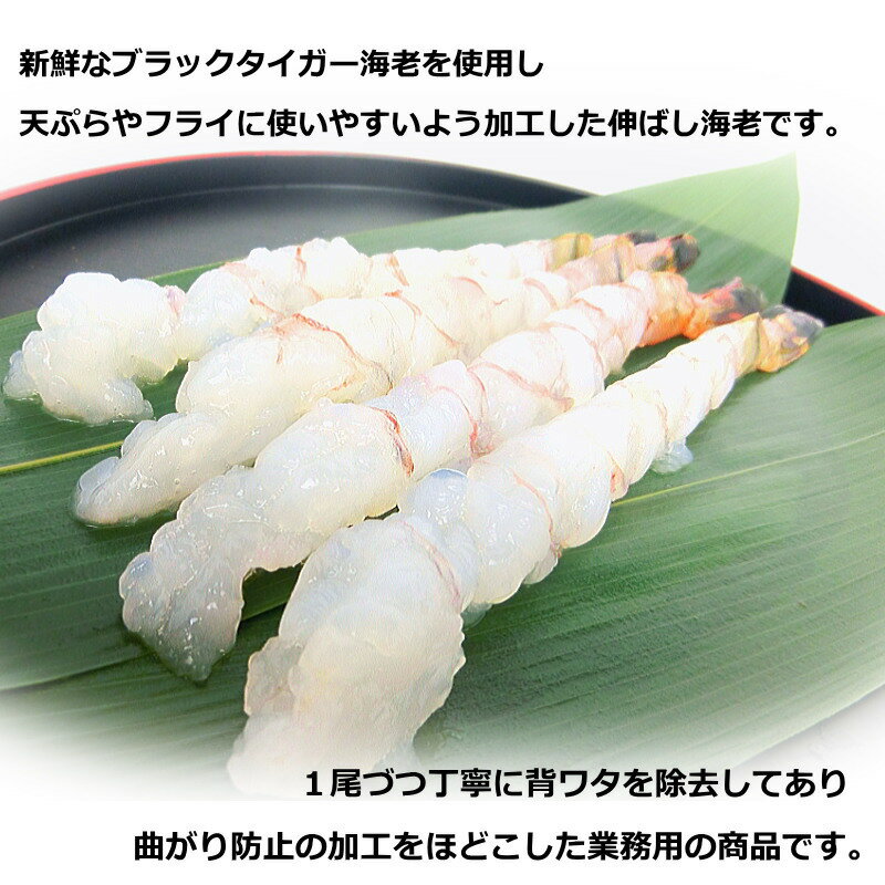 マルヨ食品　ほたるいかの生姜煮　80g×48個　04028【送料無料】
