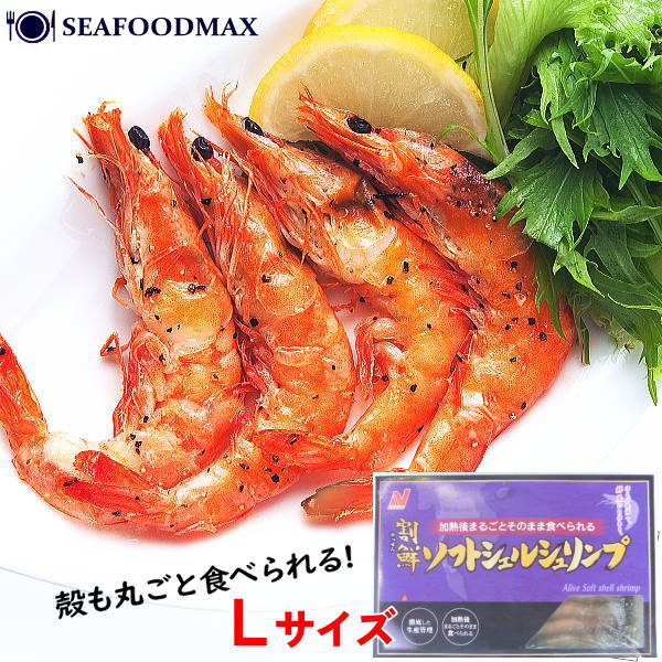 եȥ륷 ˥쥤 L 25 ڳϷ  Хʥᥤ ХʥᥤϷ  С٥塼 BBQۡեȥ륷...