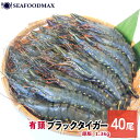 【冷凍】有頭 ブラックタイガー 40尾入 約14cm 1.3kg 〈業務用〉【ブラックタイガー/海老/えび/えび/BT/冷凍えび/有頭】 有頭BT40尾