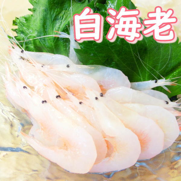 【白えび】富山名物の白エビをお取り寄せしたいです！刺身で楽しめるおすすめは？