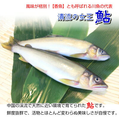 夏が旬の食べ物ランキング15 魚や野菜など夏に美味しい食材といえばコレ 暮らし の 夏が旬の食べ物ランキング15 魚や野菜など夏に美味しい食材といえばコレ 暮らし の