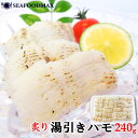 湯引き鱧 ハモ 骨切り 炙り 240g (24切入り) 【鱧 はも 落とし 吸い物 寿司】【冷凍】・湯引きハモ・