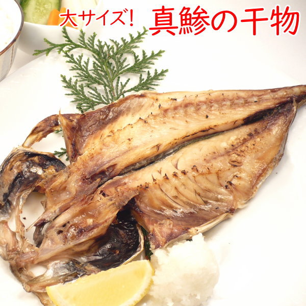 真アジ干物 約25cm 【鯵 あじ ひもの 