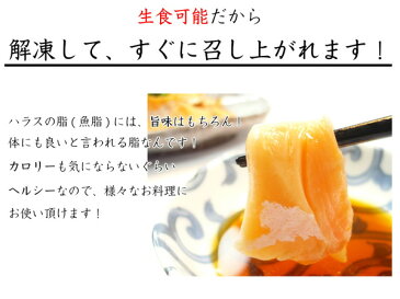 【送料無料】 切り落とし サーモンハラス (500g×2パック) 1kg【ハラス/鮭/サーモンハラス/刺し身/サーモン切り落とし/トロ サーモン/トラウトサーモン/サーモン/お刺身/寿司ネタ】