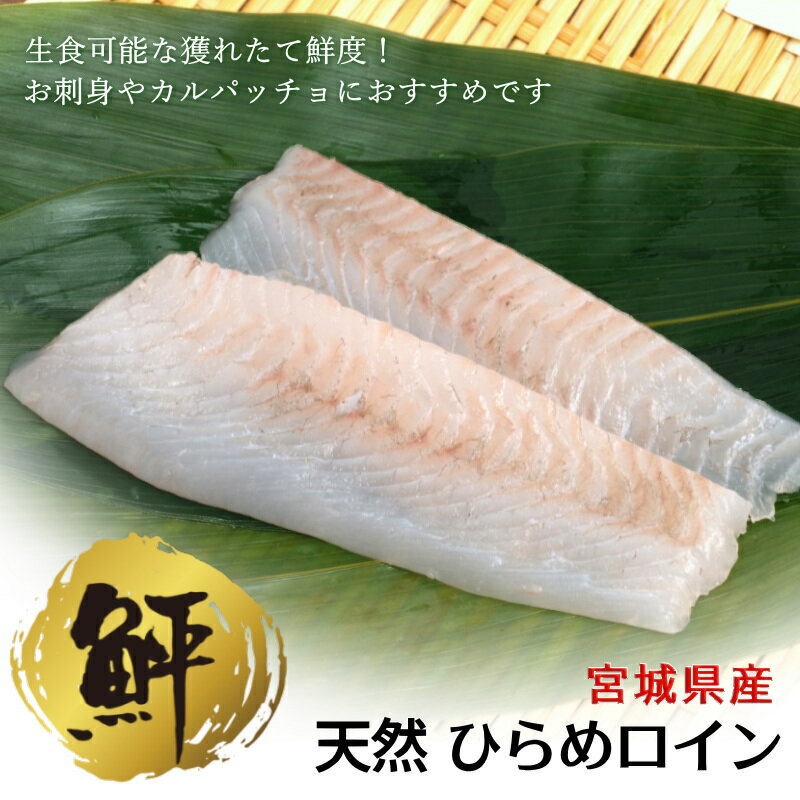 ひらめ 刺身 400g(2～4枚入) ヒラメ ロイン 冷凍 宮城県産 天然 平目 柵どり 刺身...