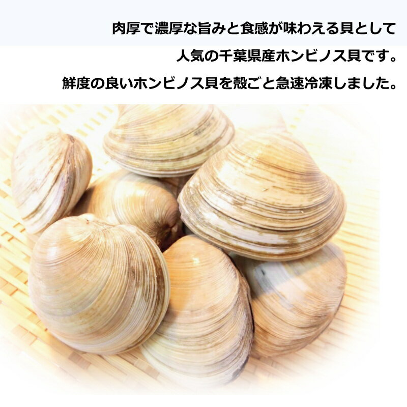 �����ո����ۥۥ�ӥΥ��� 1kg 9�ġ�12���� ���� ����ȴ���ڤۤ�ӤΤ� �礢���� �Ϥޤ��� �ϥޥ��� ���ۤ�ʪ ���դ� �н� �С��٥��塼�ۡ��ۥ�ӥΥ�����