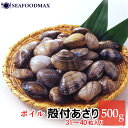 あさり 冷凍 殻付きあさり 500g 約31-40粒入 2Lサイズ【ボイル済み】【アサリ 殻アサリ 浅利 殻付】・殻付あさり2L500g・