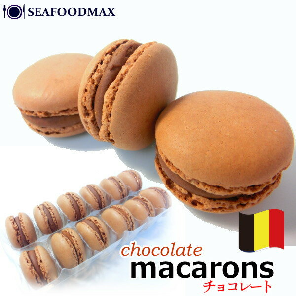 マカロン　チョコレート味 12個入 ベルギー産　冷凍　(沖縄＊離島＋\800/北海道＋\500の送料がかかります)・マカロン…