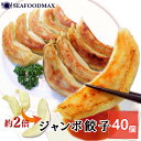 餃子 冷凍 ジャンボ餃子 40個入 約1.6kg (40g×40個) 約2倍サイズ 特大 ぎょうざ 惣菜・ジャンボ餃子・